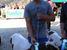 2019_ausstellung polling_684